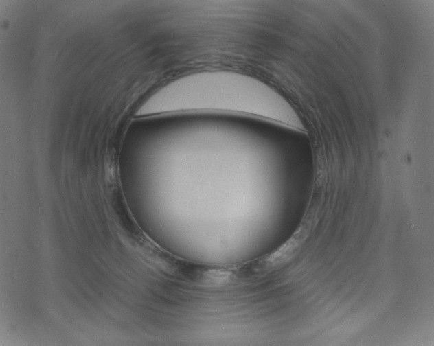 X0000071780176200606300926