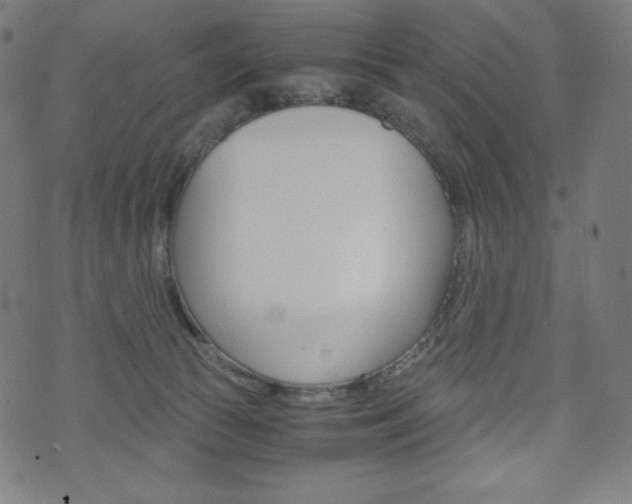 X0000071780177200606300926