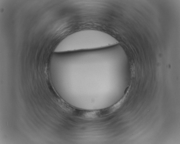 X0000071780178200606300926