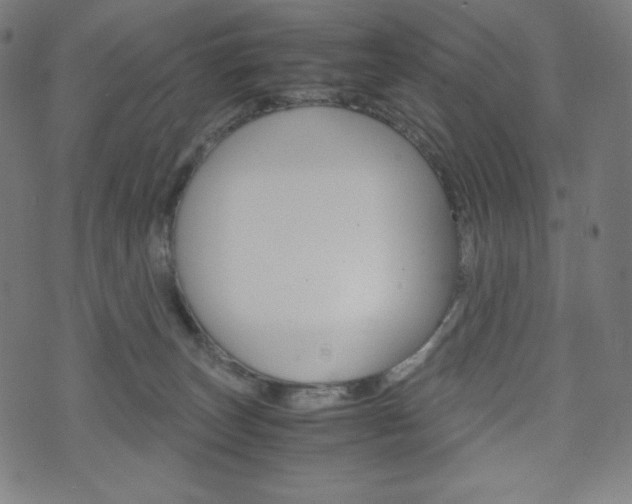 X0000071780179200606300926