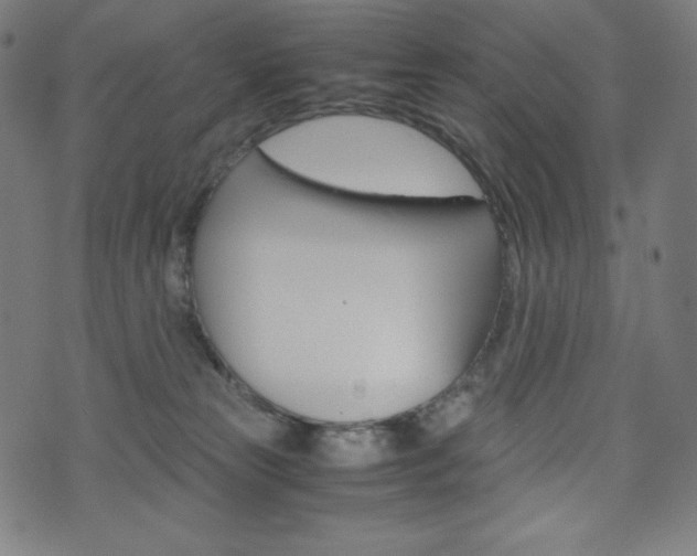 X0000071780181200606300926