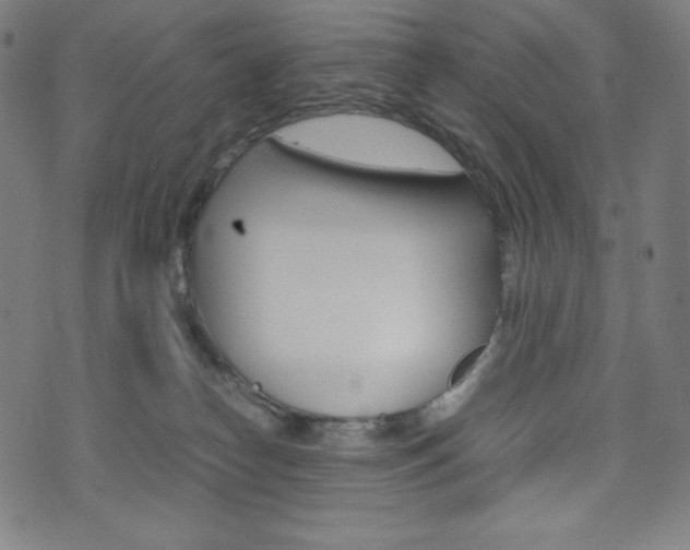 X0000071780182200606300926