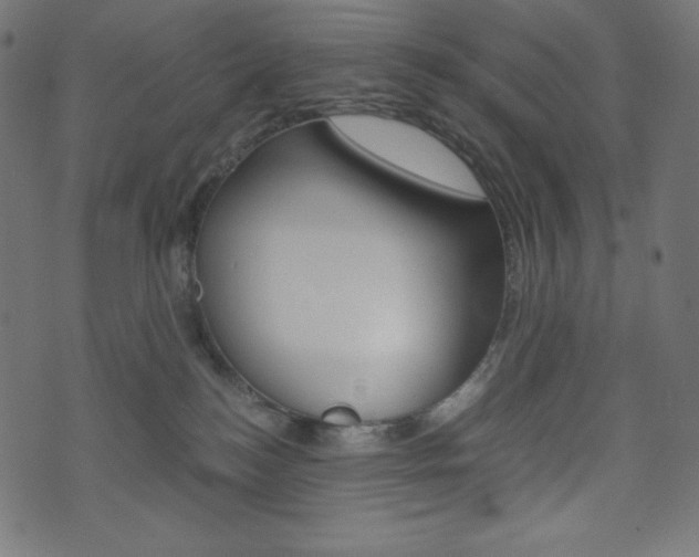 X0000071780184200606300926