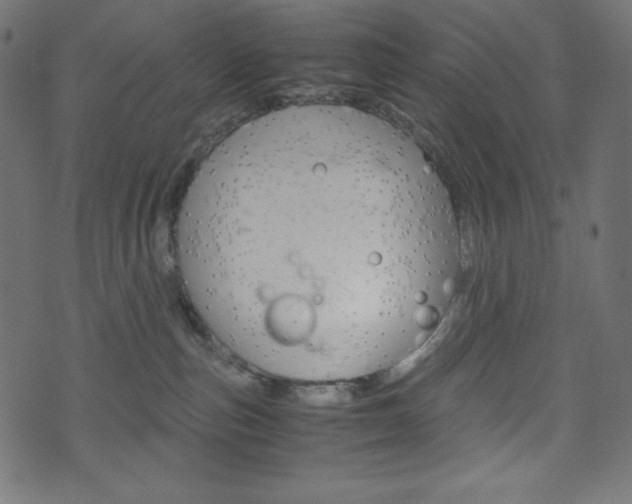 X0000071780187200606300926