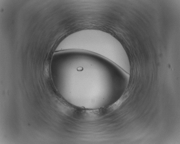 X0000071780188200606300926