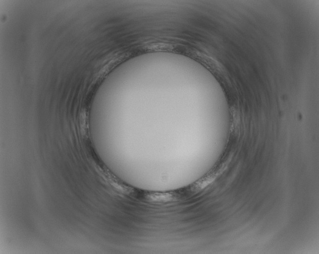 X0000071780189200606300926