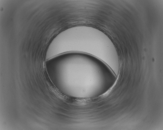 X0000071780190200606300926