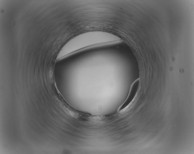 X0000071780192200606300926