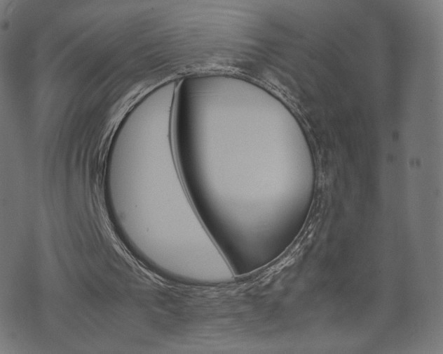 X0000071780193200606300925