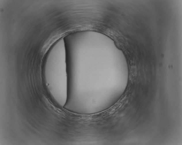 X0000071780194200606300925