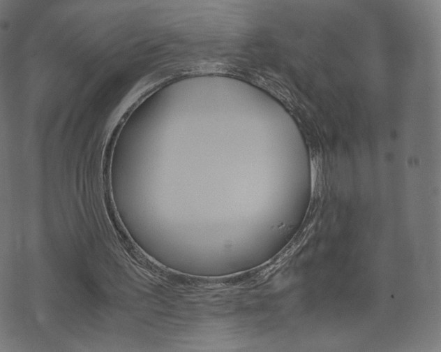 X0000071780195200606300925