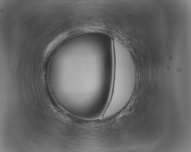 X0000071780197200606300925