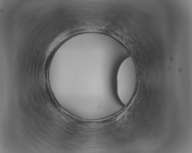 X0000071780198200606300925