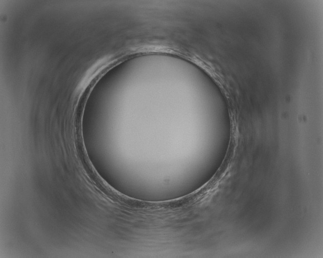 X0000071780199200606300925