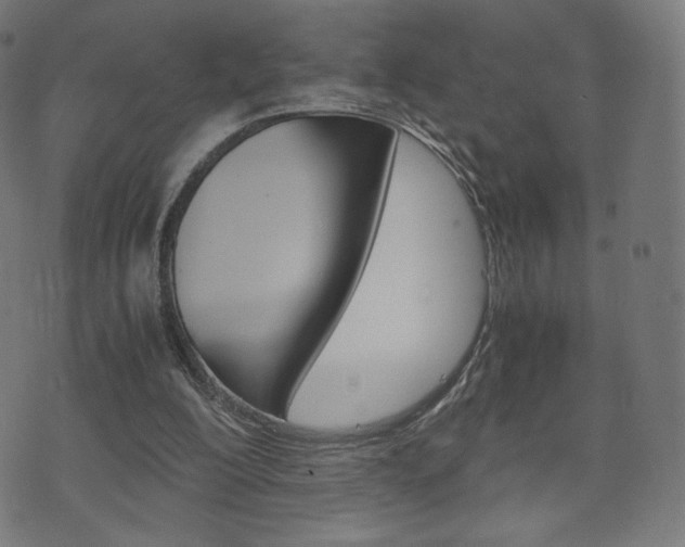 X0000071780200200606300925