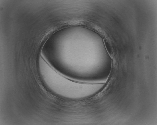 X0000071780201200606300925