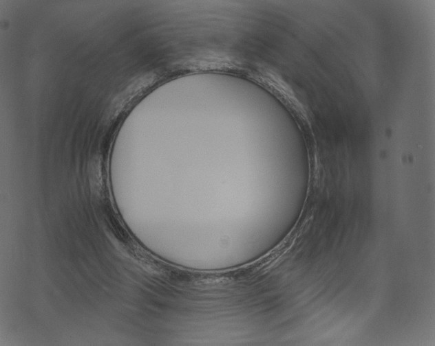 X0000071780202200606300925