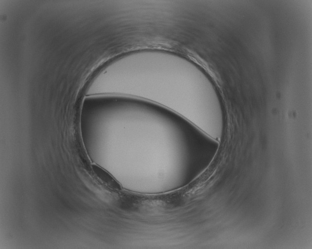 X0000071780203200606300925