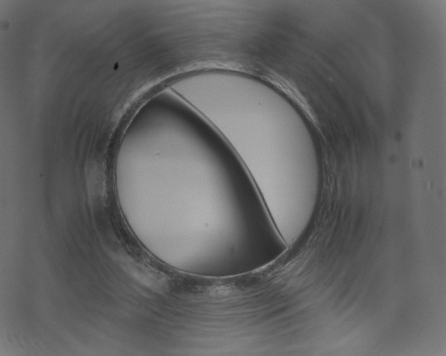 X0000071780204200606300925