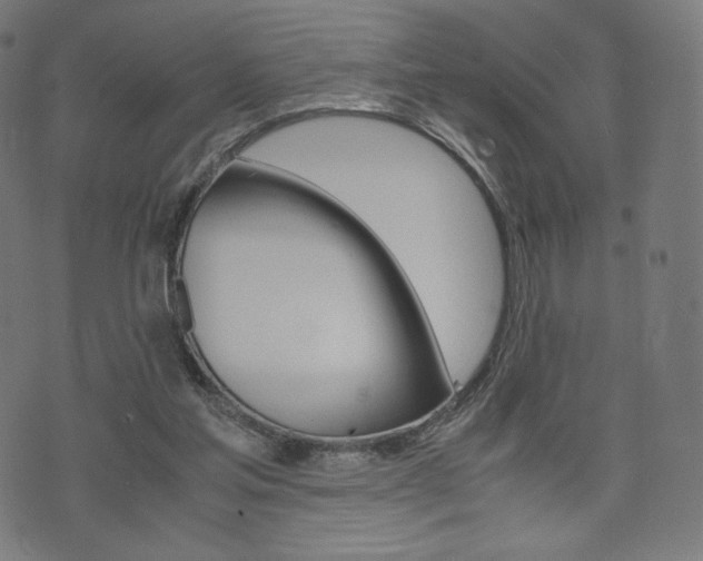 X0000071780205200606300925