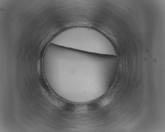 X0000071780206200606300925