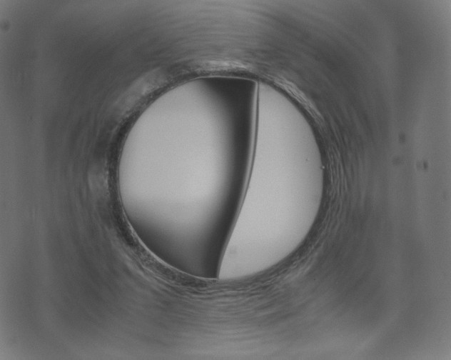 X0000071780207200606300925