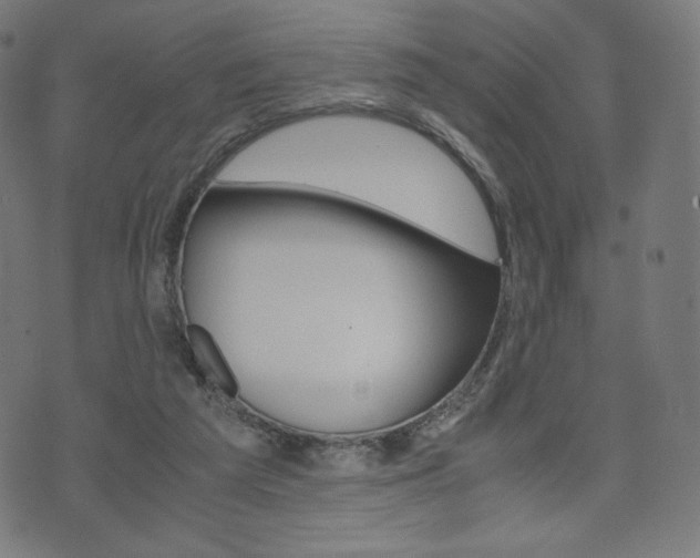 X0000071780209200606300925