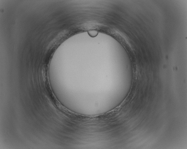 X0000071780210200606300925