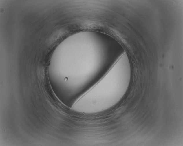 X0000071780211200606300925