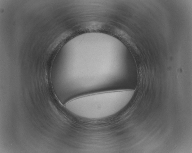 X0000071780212200606300925