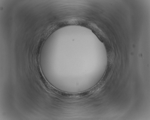 X0000071780213200606300925