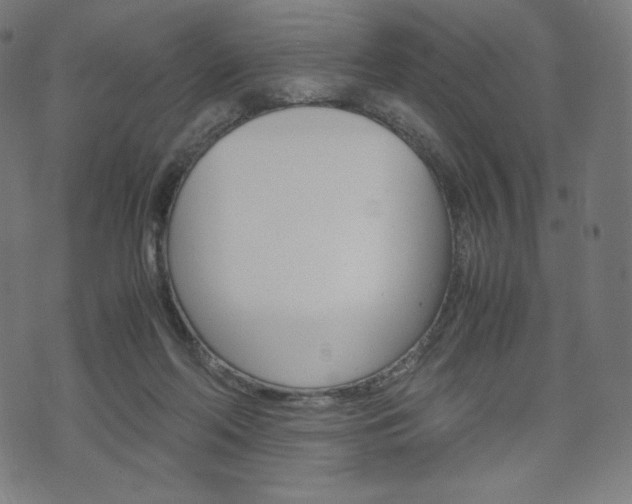 X0000071780214200606300925