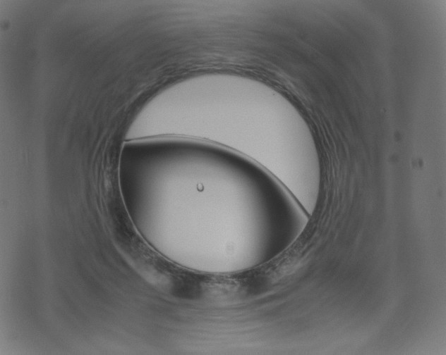 X0000071780215200606300925