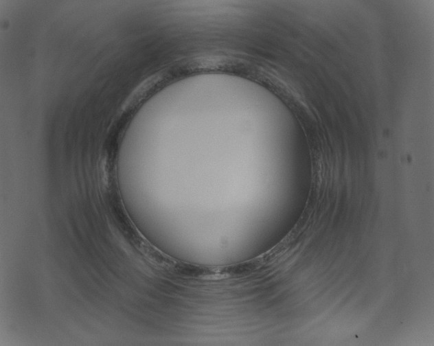 X0000071780216200606300925