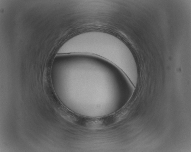 X0000071780217200606300925