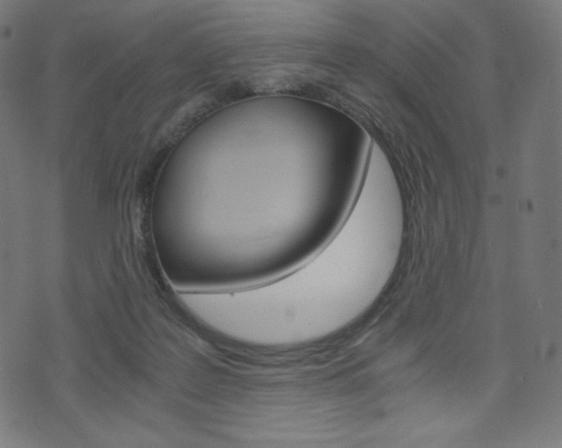 X0000071780219200606300925