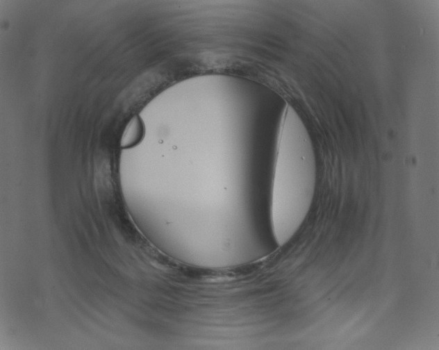 X0000071780220200606300925