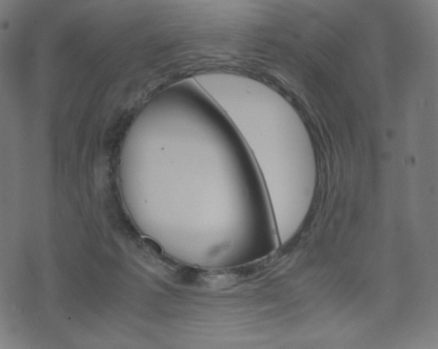 X0000071780221200606300925