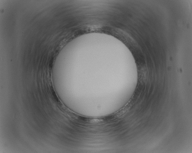 X0000071780222200606300925