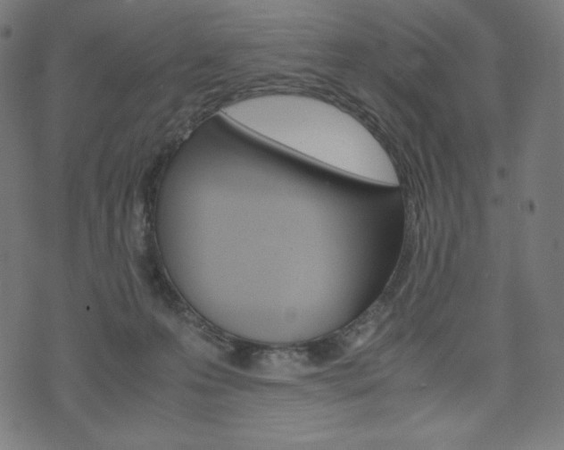 X0000071780223200606300925