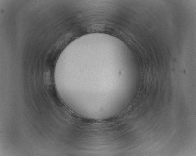 X0000071780224200606300925