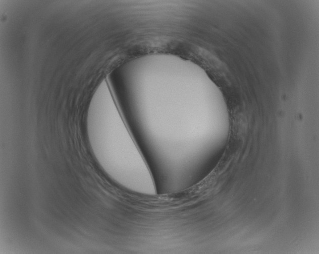 X0000071780225200606300925