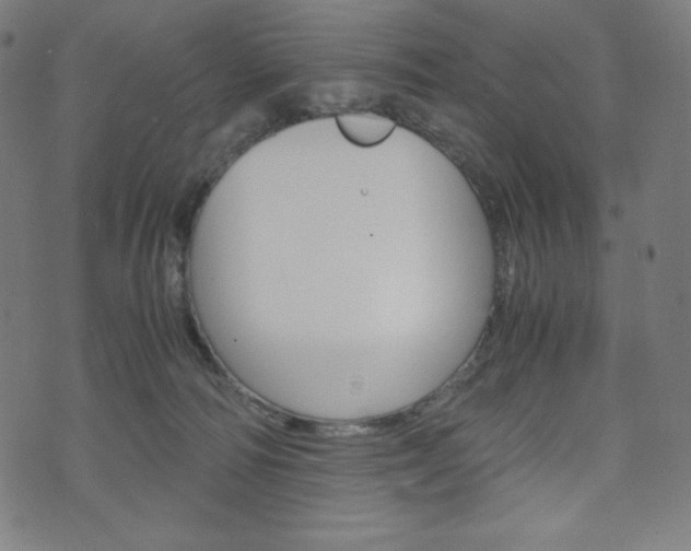 X0000071780226200606300925