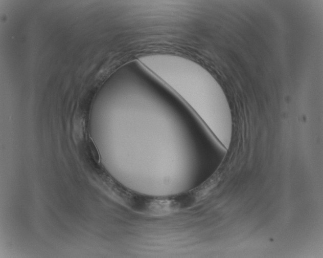 X0000071780227200606300925