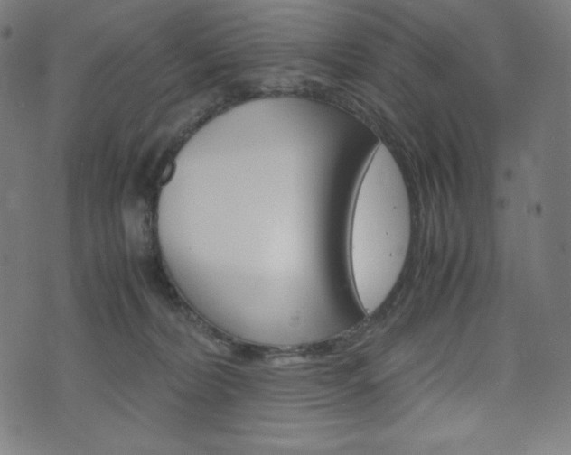 X0000071780228200606300925