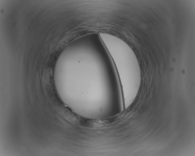 X0000071780229200606300925