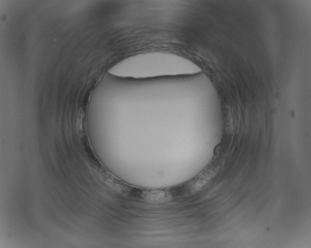 X0000071780230200606300925