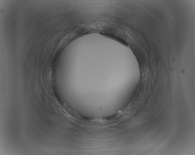 X0000071780231200606300925