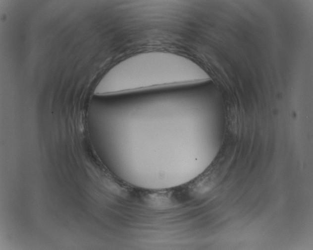 X0000071780232200606300925