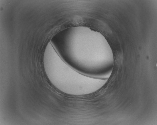 X0000071780233200606300925